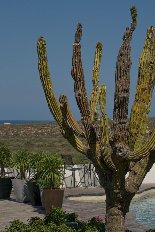 Vista La Ribera Hotel Екстериор снимка